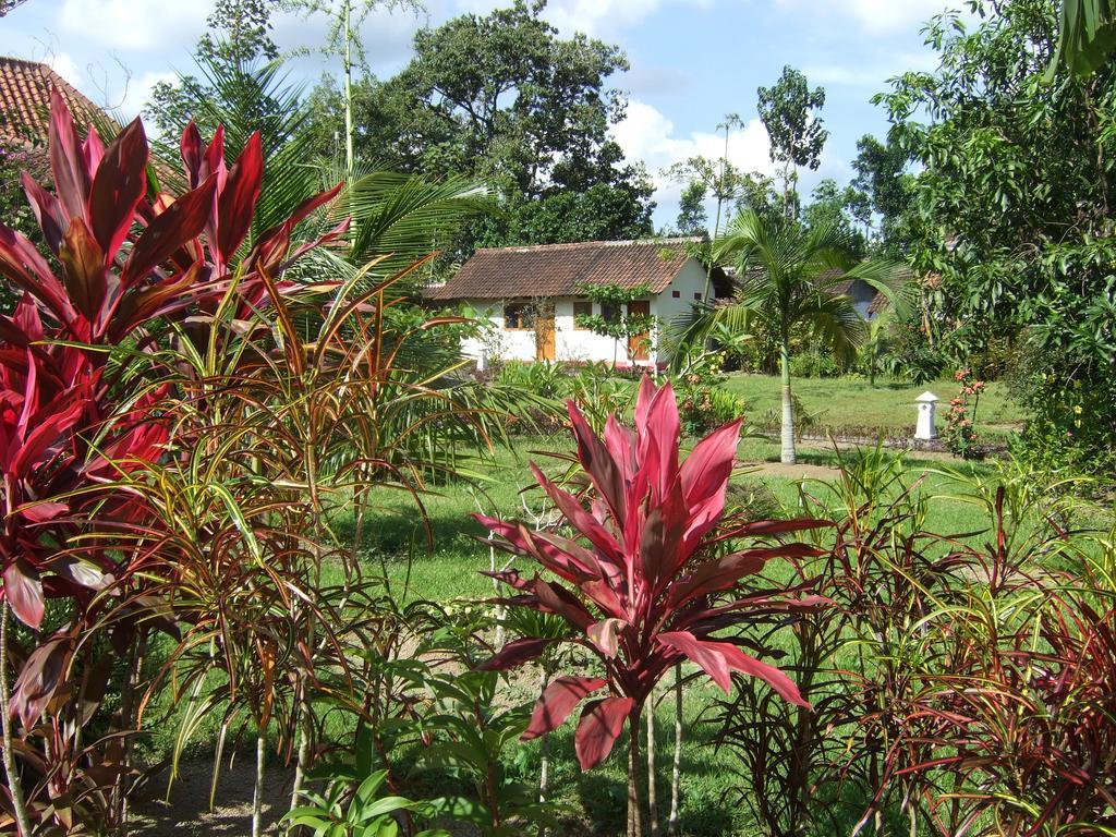 Guesthouse Rumah Senang Kalibaru ภายนอก รูปภาพ