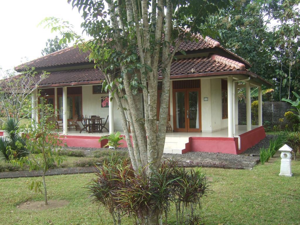 Guesthouse Rumah Senang Kalibaru ภายนอก รูปภาพ