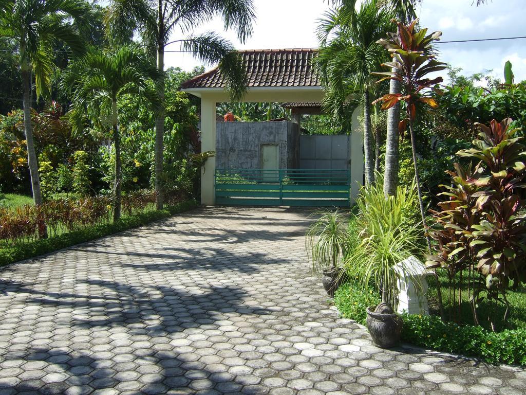 Guesthouse Rumah Senang Kalibaru ภายนอก รูปภาพ